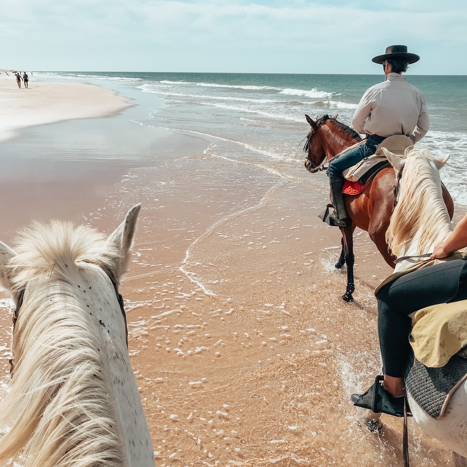 paseo a caballo por la playa